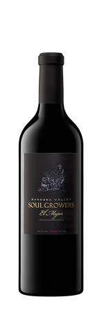 El Mejor Cabernet Mataro Shiraz 2021