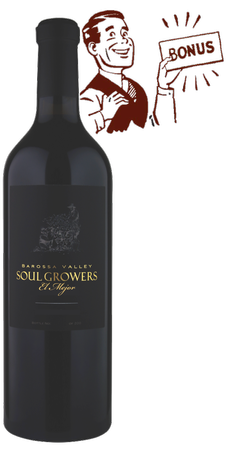 2017 Equilibrium GSM plus a free El Mejor bottle