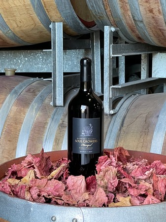 Hampel Shiraz 1.5L