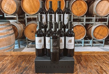 Slow Grown Dozen Plus 106 Vines