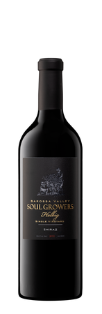 Helbig SV Shiraz 2023