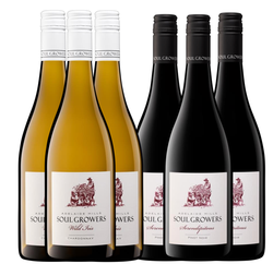 3 X Wild Iris 3 X Serendipitous