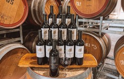 Cellar Dweller Dozen Plus 106 Vines