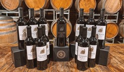 Mixed Dozen Plus 106 Vines